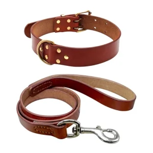 Collier et laisse pour chien en cuir Pet Artist