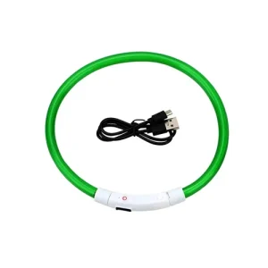 Collier lumineux pour chien