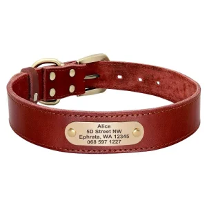Collier pour chien en cuir personnalisable