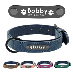 Collier pour chien personnalisé