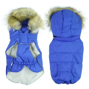 Veste pour chien