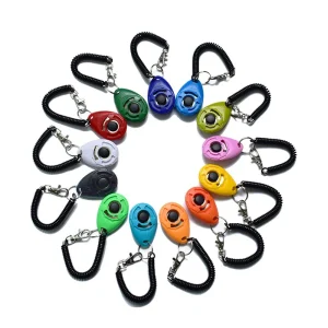 Clicker training pour l'apprentissage positif du chien