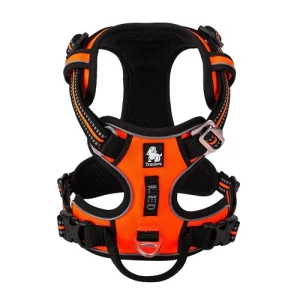 Harnais pour chien Truelove
