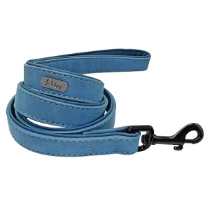 Laisse pour chien